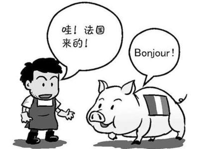 2015年法語(yǔ)翻譯專業(yè)資格(水平)考試時(shí)間